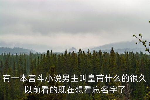 有一本宮斗小說男主叫皇甫什么的很久以前看的現在想看忘名字了