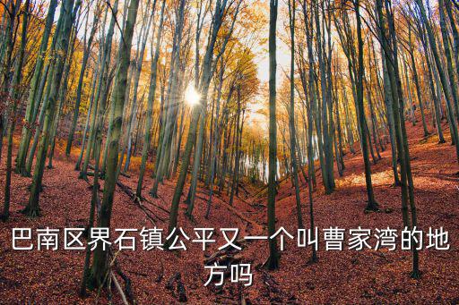 巴南區界石鎮公平又一個叫曹家灣的地方嗎