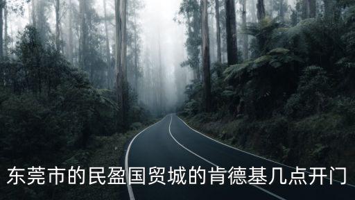 民盈國貿城，長春市二道街國貿商都