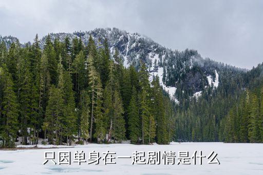 只因單身在一起，只因單身在一起結(jié)局是什么