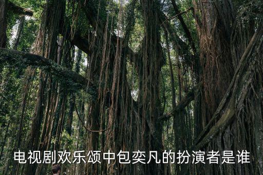 電視劇歡樂頌中包奕凡的扮演者是誰