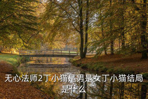 無心法師2丁小貓是男是女丁小貓結(jié)局是什么