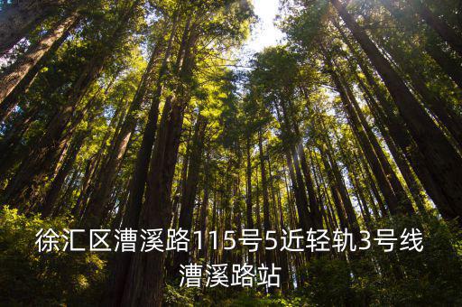 徐匯區(qū)漕溪路115號(hào)5近輕軌3號(hào)線漕溪路站