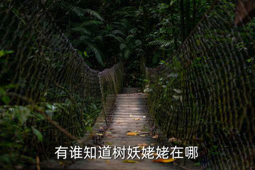 有誰知道樹妖姥姥在哪