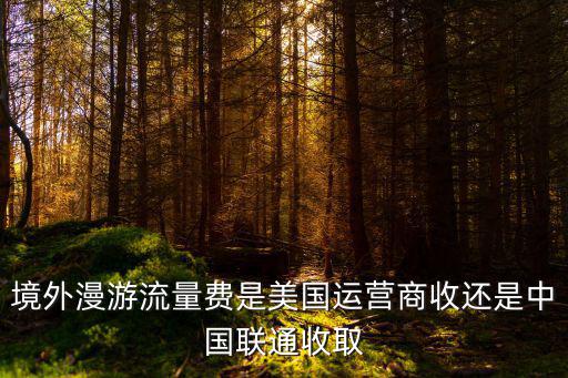 境外漫游流量費是美國運營商收還是中國聯通收取
