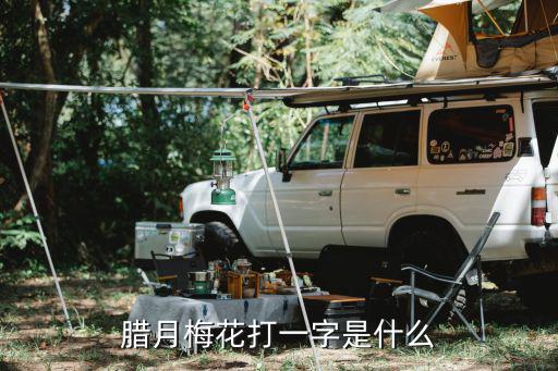 臘月梅花打一字是什么
