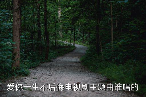 愛(ài)你一生不后悔電視劇主題曲誰(shuí)唱的