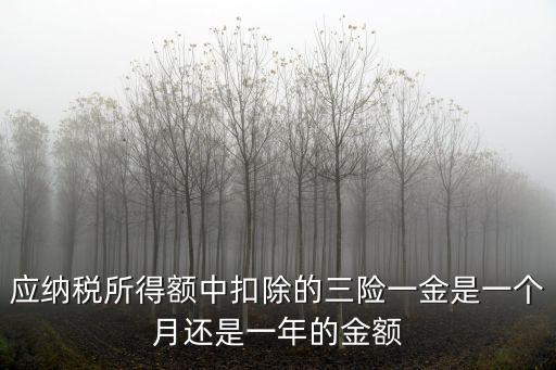 三險一金指什么，什么是三保一金
