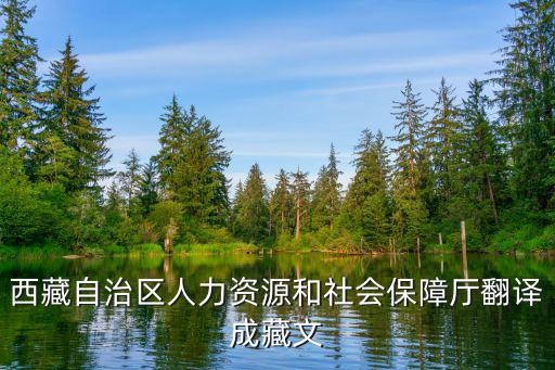 西藏人力資源與社會(huì)保障廳，西藏人力資源與社會(huì)保障網(wǎng)怎么打不開(kāi)急死了