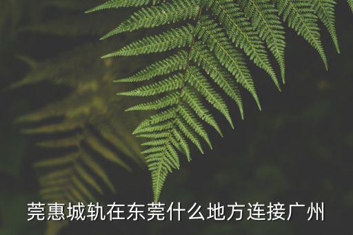 莞惠城軌在東莞什么地方連接廣州