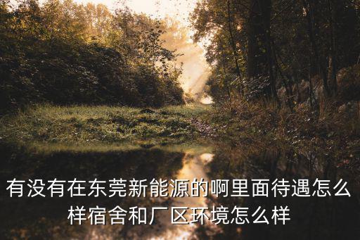 有沒有在東莞新能源的啊里面待遇怎么樣宿舍和廠區(qū)環(huán)境怎么樣