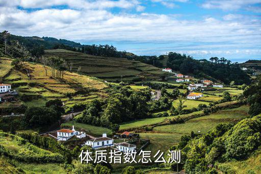 體質測定，大學生體質測試測定胸圍身高體重指標為了什么