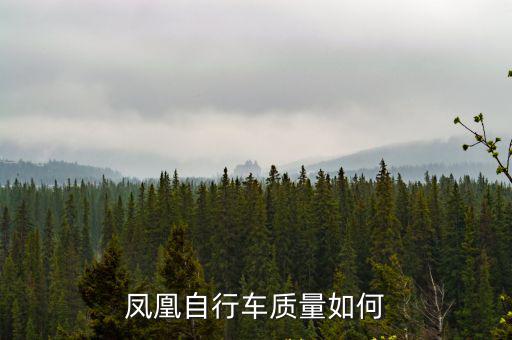 鳳凰自行車，鳳凰自行車質量如何