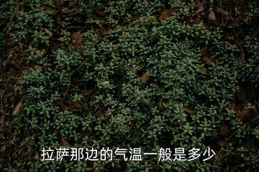 拉薩那邊的氣溫一般是多少
