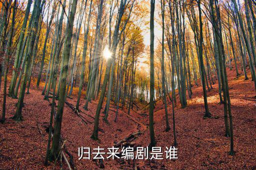 歸去來編劇是誰