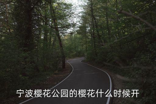 寧波櫻花公園的櫻花什么時候開