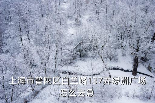 綠洲廣場，上海市普陀區白蘭路137弄綠洲廣場怎么去急