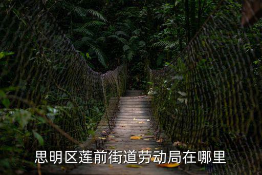 思明區蓮前街道勞動局在哪里