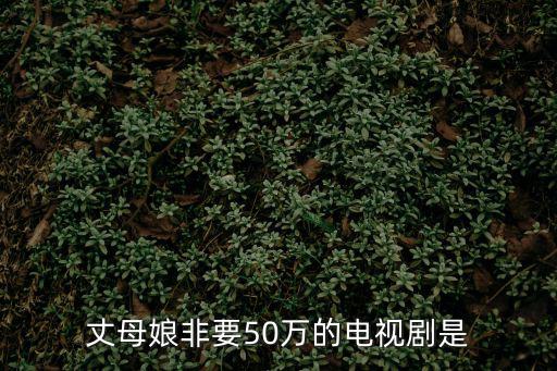 丈母娘非要50萬的電視劇是
