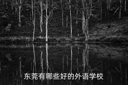 東莞有哪些好的外語學校