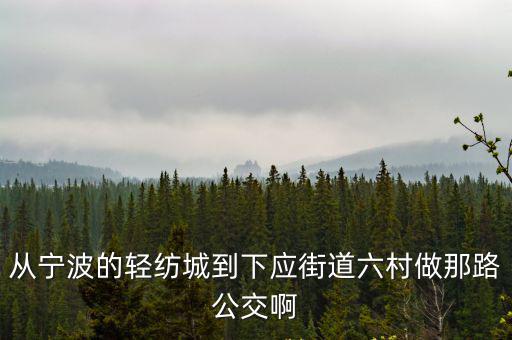 從寧波的輕紡城到下應(yīng)街道六村做那路公交啊