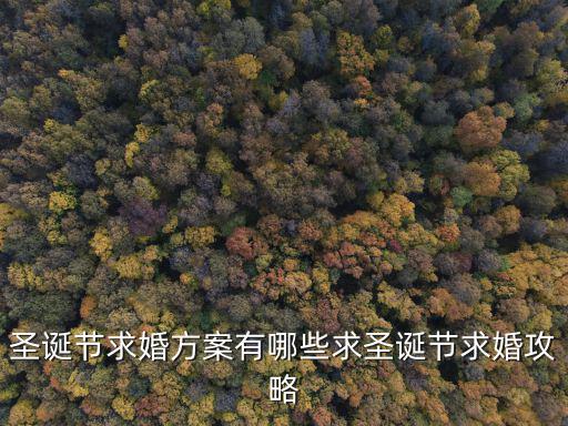 圣誕節(jié)求婚方案有哪些求圣誕節(jié)求婚攻略
