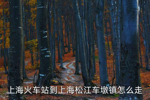 上海火車站到上海松江車墩鎮怎么走