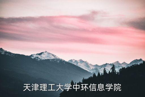天津理工大學(xué)中環(huán)，天津理工大學(xué)中環(huán)信息學(xué)院