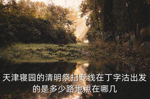 天津寢園的清明祭掃專線在丁字沽出發的是多少路地點在哪幾