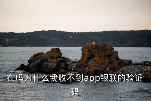 在嗎為什么我收不到app銀聯(lián)的驗(yàn)證碼