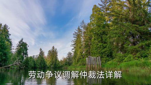 勞動爭議調解仲裁法詳解