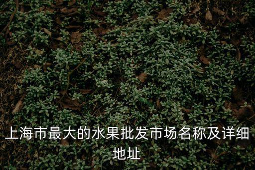上海市最大的水果批發(fā)市場名稱及詳細(xì)地址