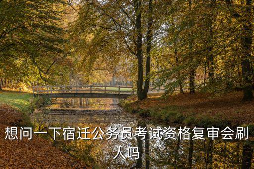 仿生人會夢見電子羊嗎，想問一下宿遷公務員考試資格復審會刷人嗎
