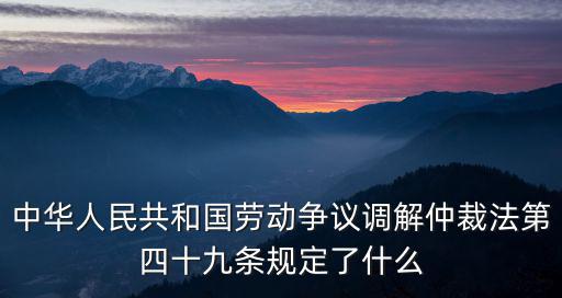 中華人民共和國勞動爭議調解仲裁法第四十九條規定了什么
