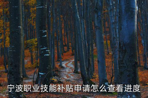 寧波職業技能補貼申請怎么查看進度
