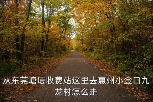 從東莞塘廈收費(fèi)站這里去惠州小金口九龍村怎么走