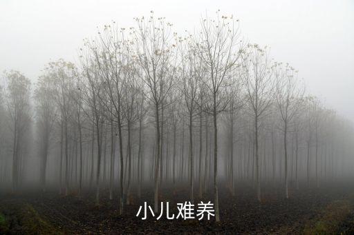 小兒難養(yǎng)
