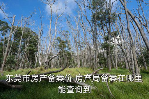 東莞市房產備案價 房產局備案在哪里能查詢到