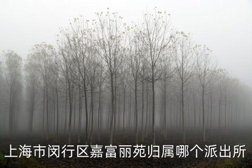 上海市閔行區嘉富麗苑歸屬哪個派出所