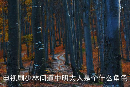 電視劇少林問(wèn)道中明大人是個(gè)什么角色