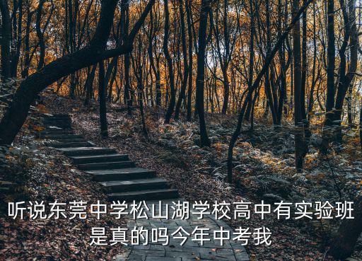 松山湖實驗中學，聽說東莞中學松山湖學校高中有實驗班是真的嗎今年中考我
