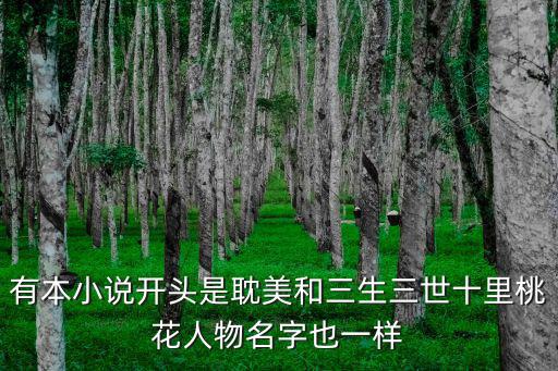 有本小說開頭是耽美和三生三世十里桃花人物名字也一樣