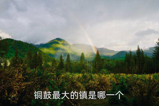 銅鼓最大的鎮是哪一個
