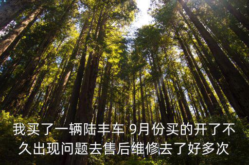 我買了一輛陸豐車 9月份買的開了不久出現問題去售后維修去了好多次
