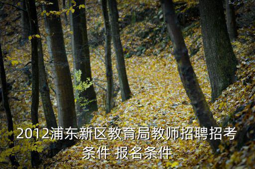 2012浦東新區教育局教師招聘招考條件 報名條件