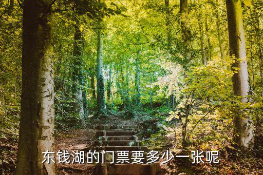 東錢湖的門票要多少一張呢