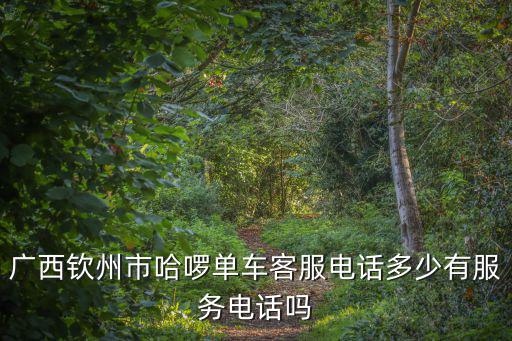 廣西欽州市哈啰單車客服電話多少有服務(wù)電話嗎