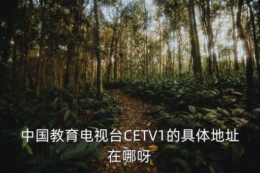 中國教育電視臺1，中國教育電視臺CETV1的具體地址在哪呀