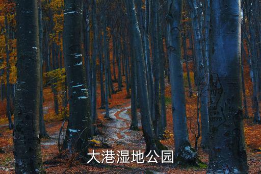 大港公園，大港公園怎么走