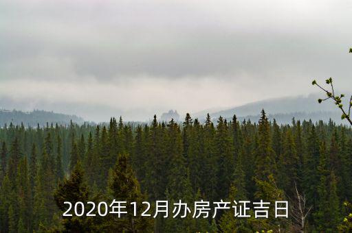2020年12月辦房產(chǎn)證吉日